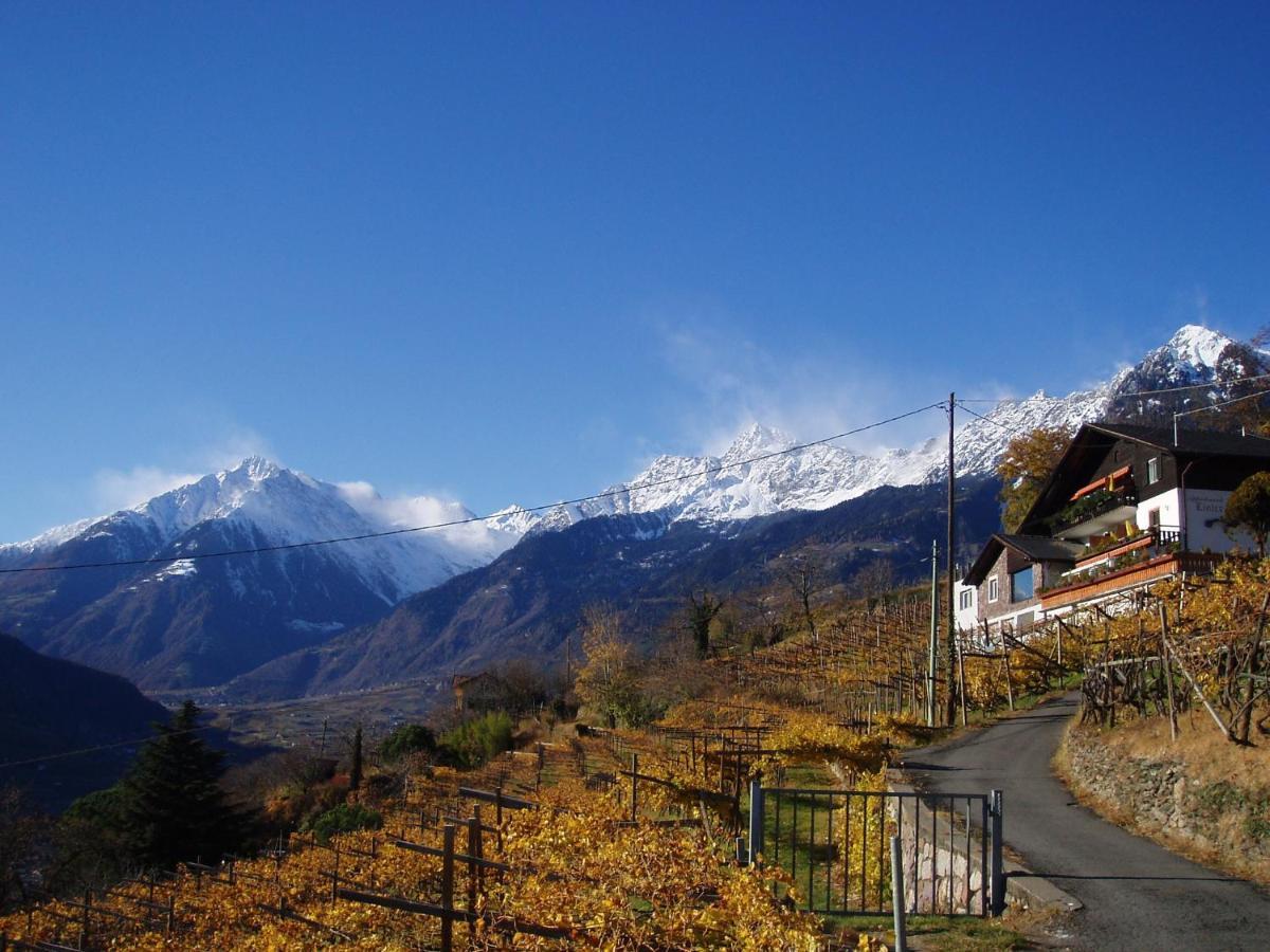 Appartementhaus Linter Tirolo