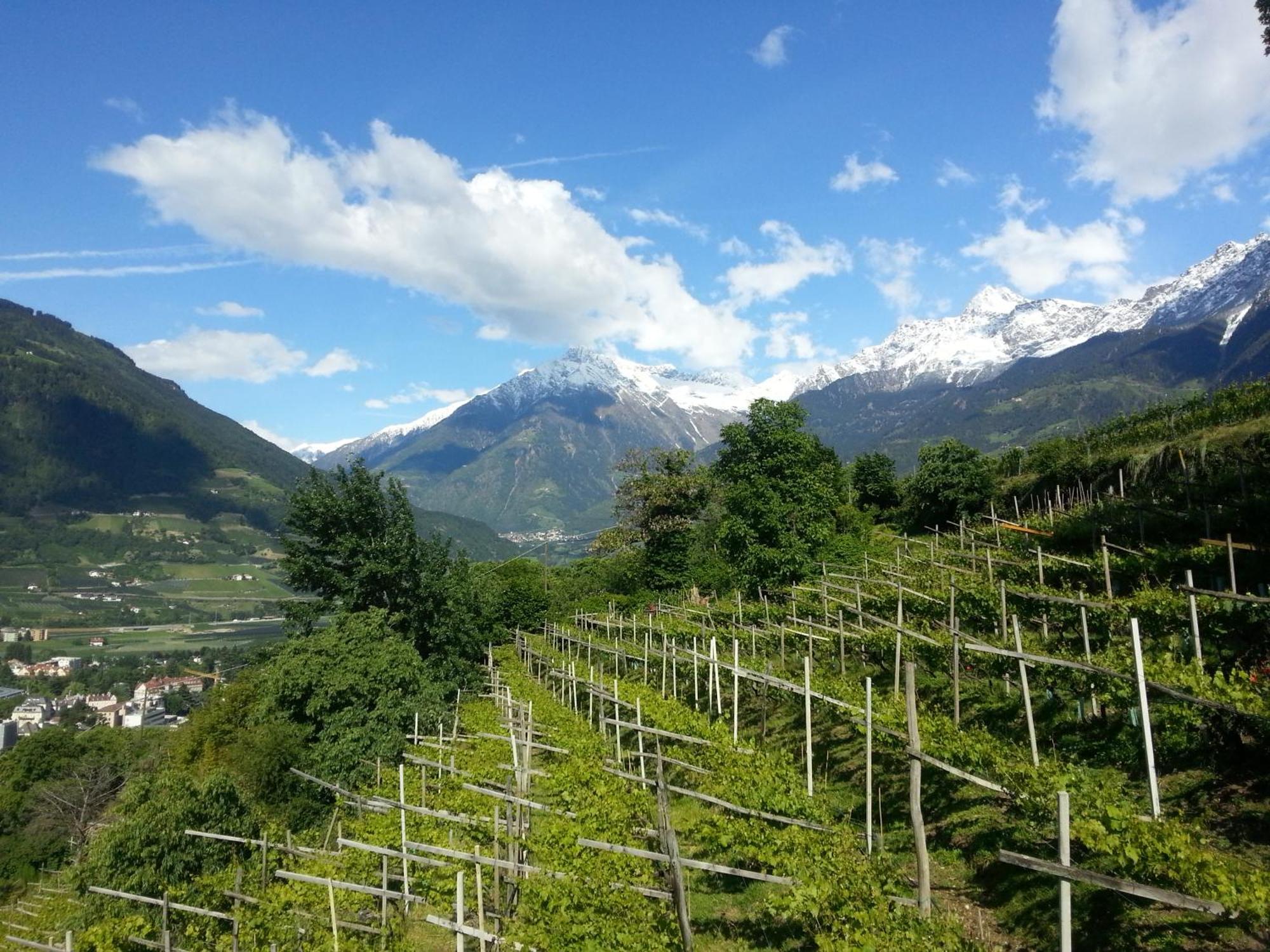 Appartementhaus Linter Tirolo